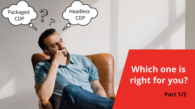 Packaged vs Headless CDP: Which one is right for you?