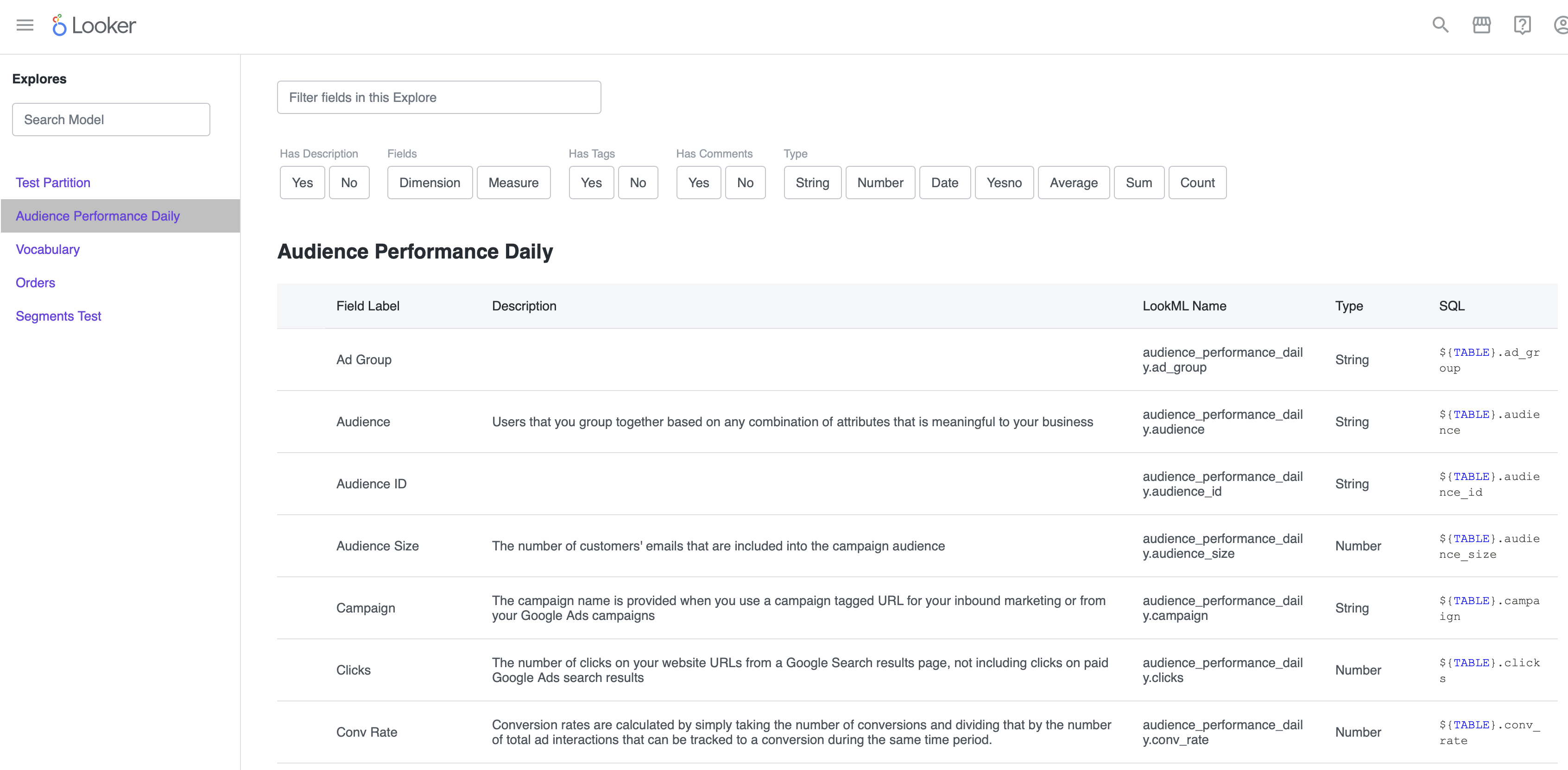 Looker Data Dictionary