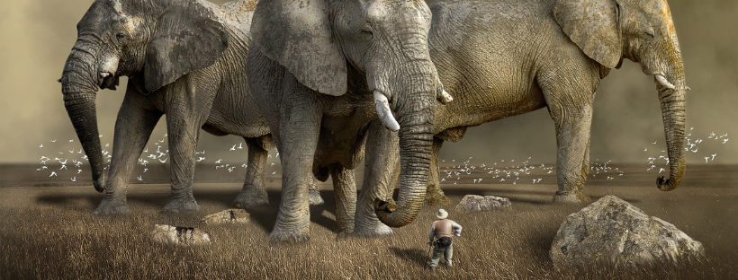 4 big articles about big data from this month