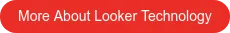 More About Looker Technology